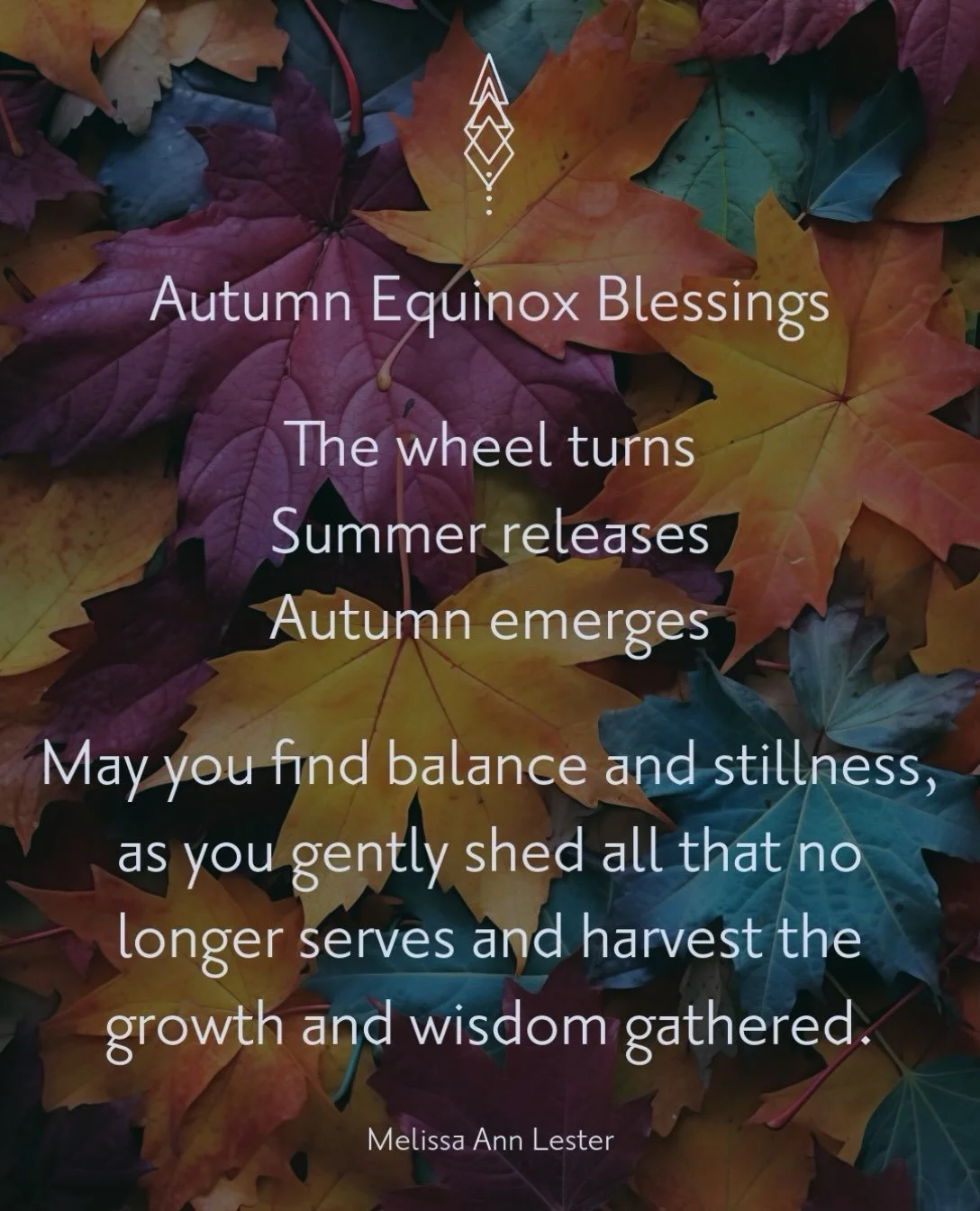Today the wheel turns. Summer releases. Autumn emerges.

This is the season where the fullness of summer begins to soften. What was planted, tended, and grown now asks to be gathered in &mdash; and what no longer serves begins its quiet release, maki