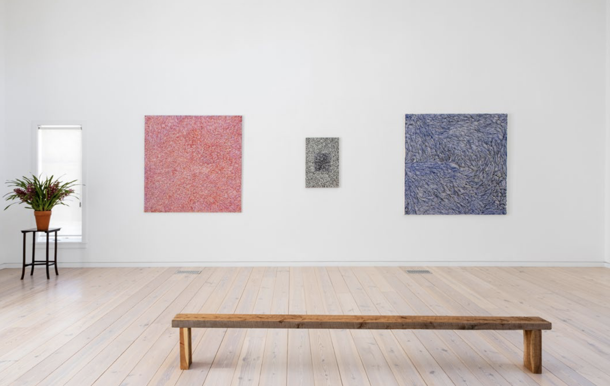 Screen Shot 2025-05-08 at 12.13.26 PM.png