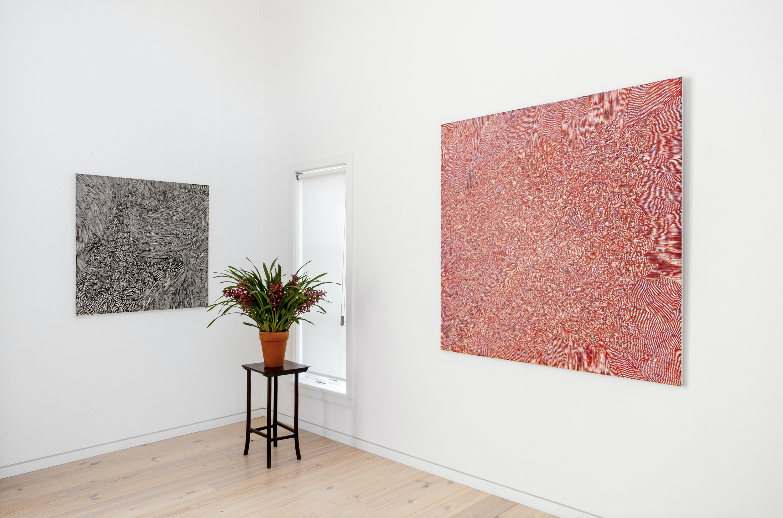 Screen Shot 2025-05-08 at 12.15.26 PM.png