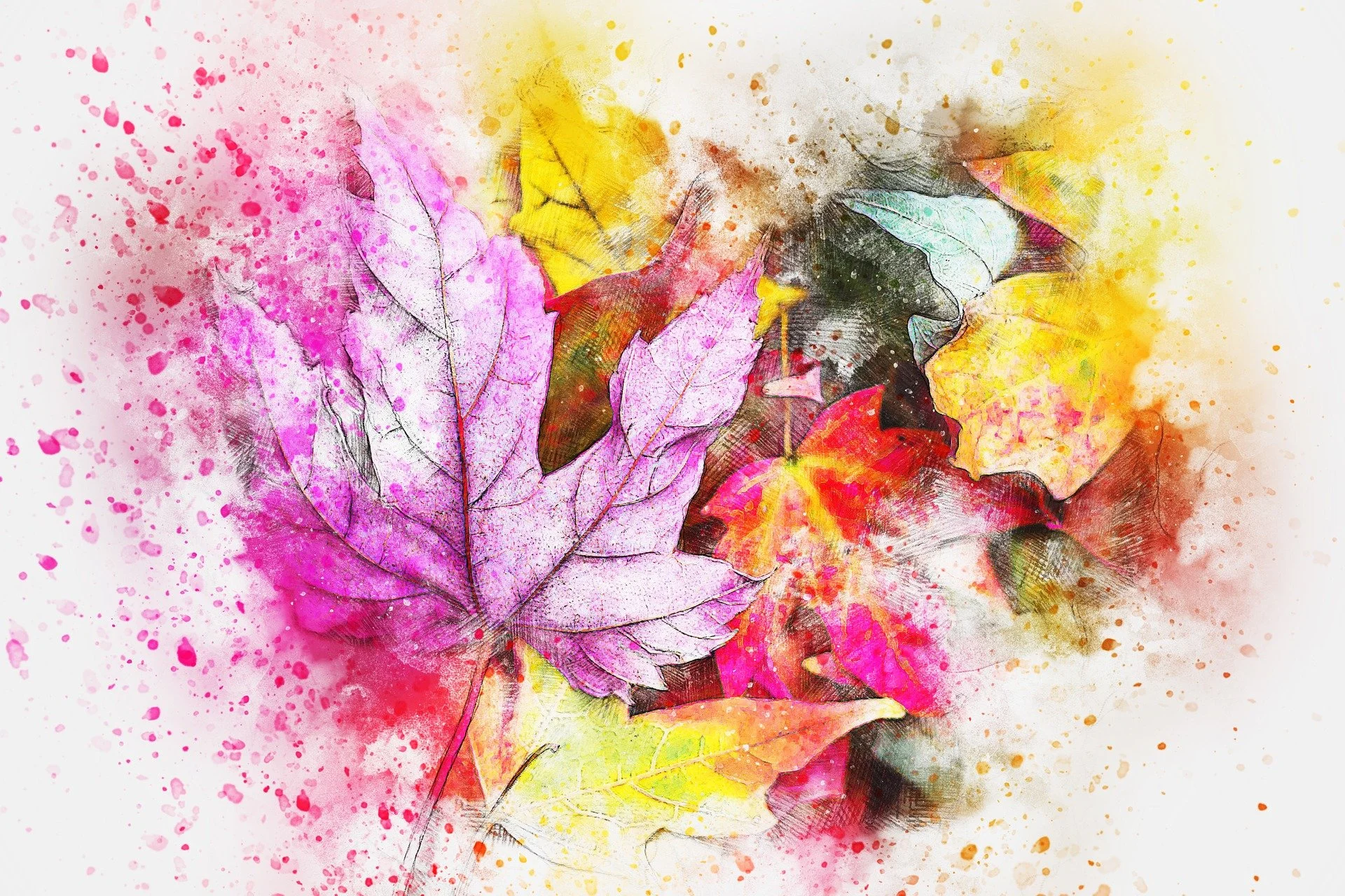 CAS Fall Festival of the Arts