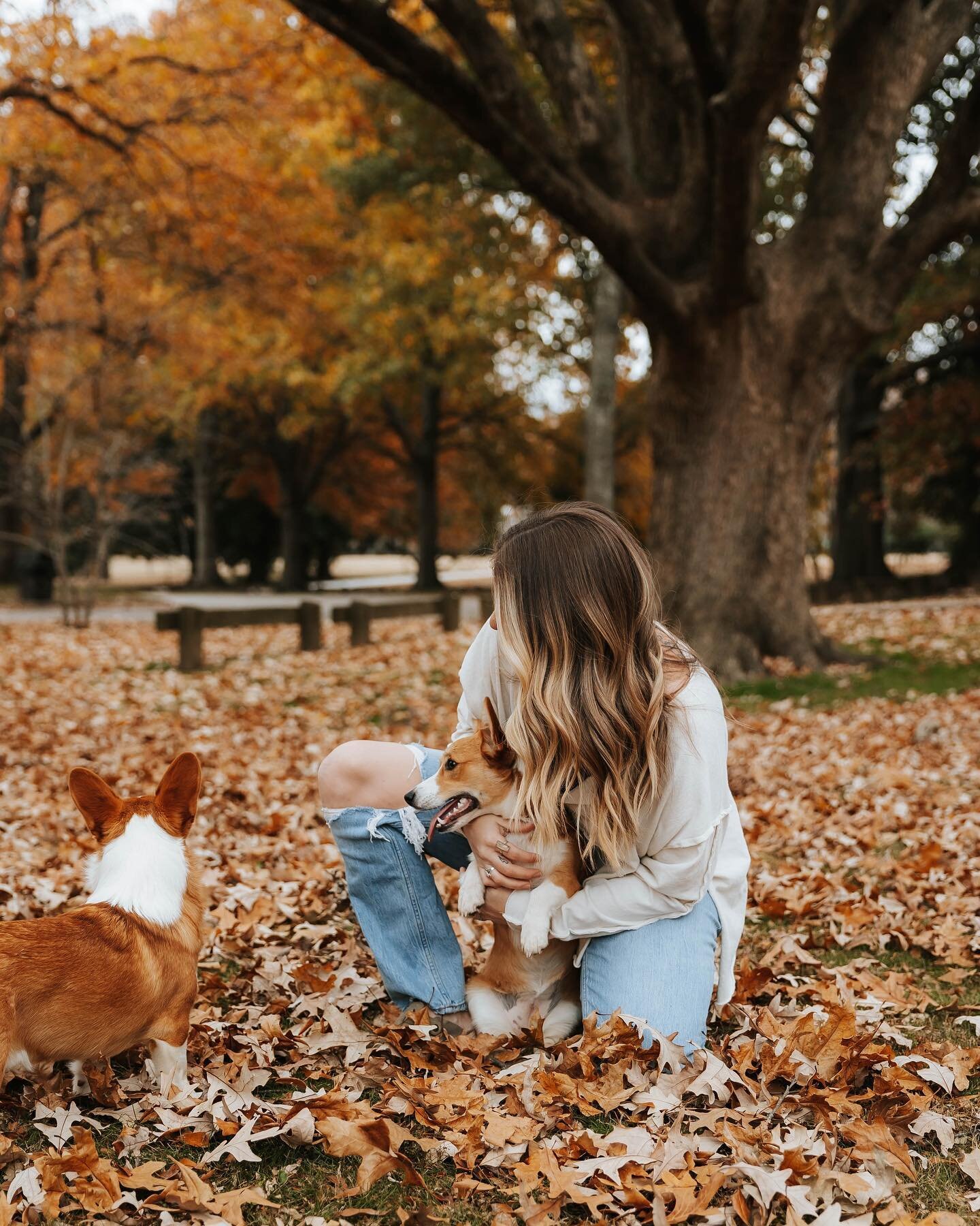 Visited my fav @lindseyfordphotography this weekend and finally got some pics with my babies!!! We are soaking in the last bit of fall down south 🍁🍂

📸: @lindseyfordphotography 
Edit: me