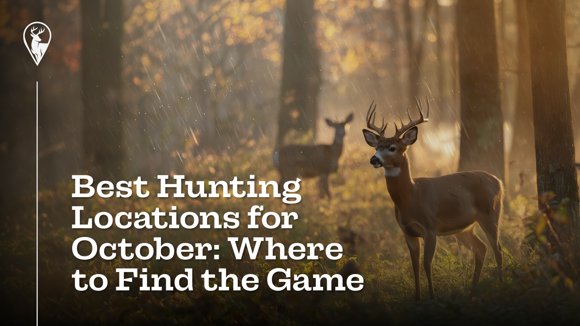 Best Hunting Locations for October: Where to Find the Game