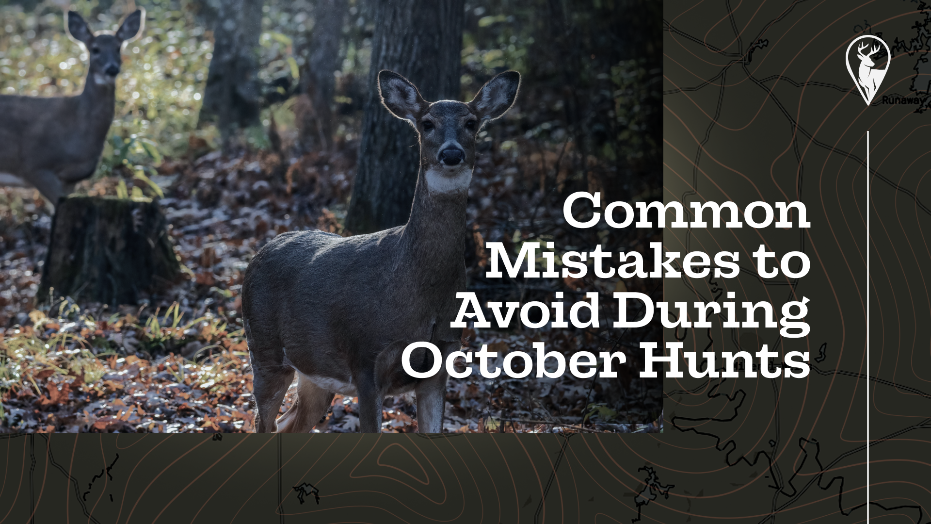 Common Mistakes to Avoid During October Hunts