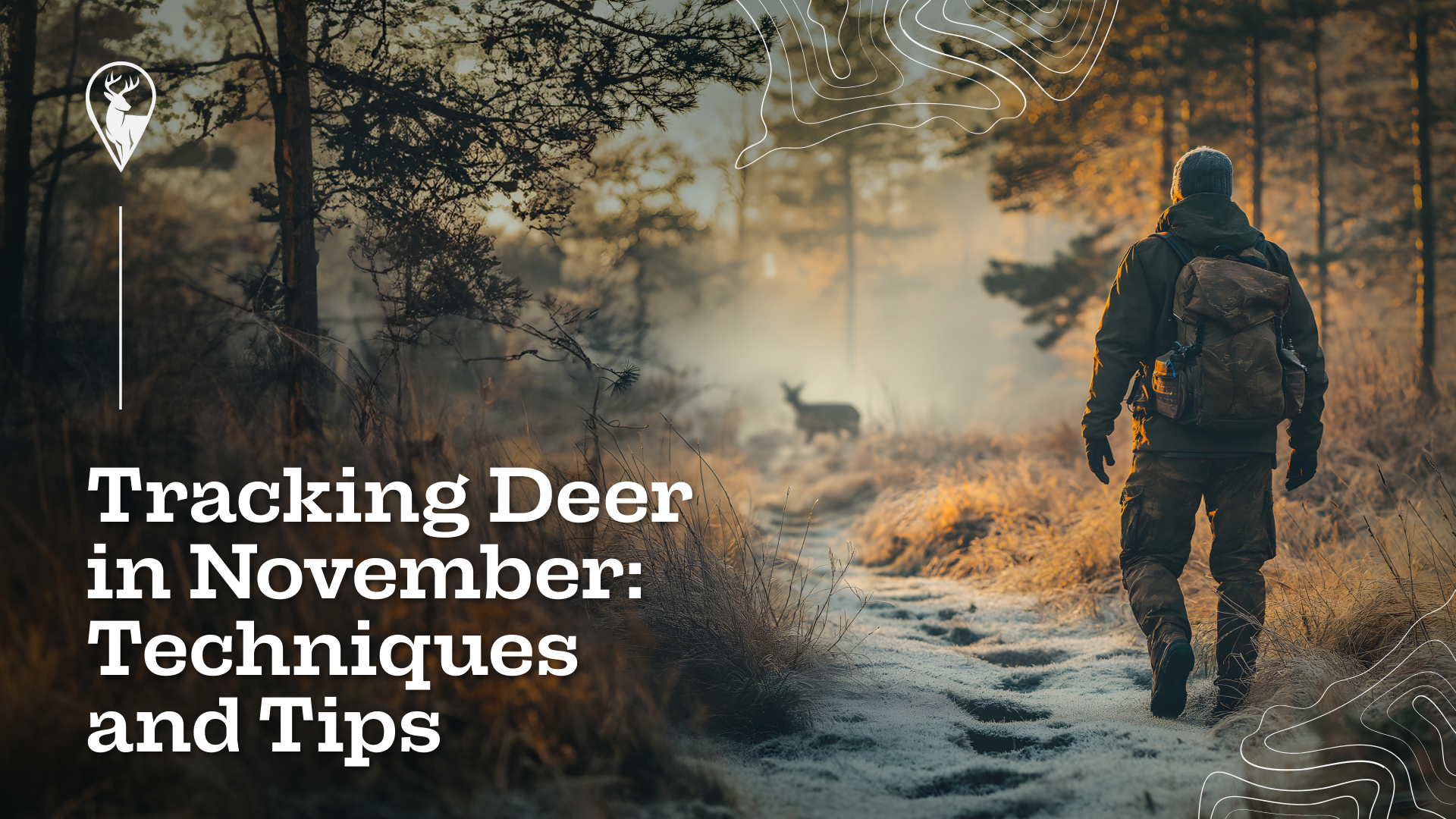 Tracking Deer in November: Techniques and Tips