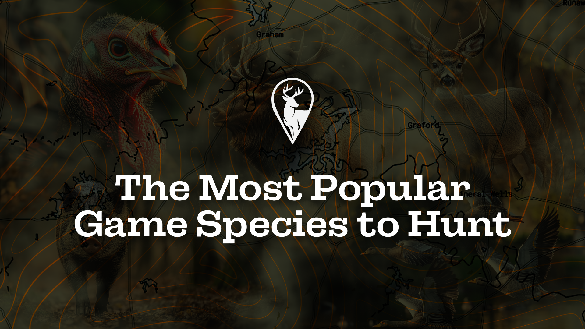 The Most Popular Game Species to Hunt