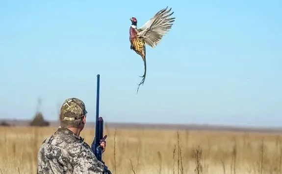 Kansas Hunting Pathways: The Complete Guide to Access &amp; Opportunities