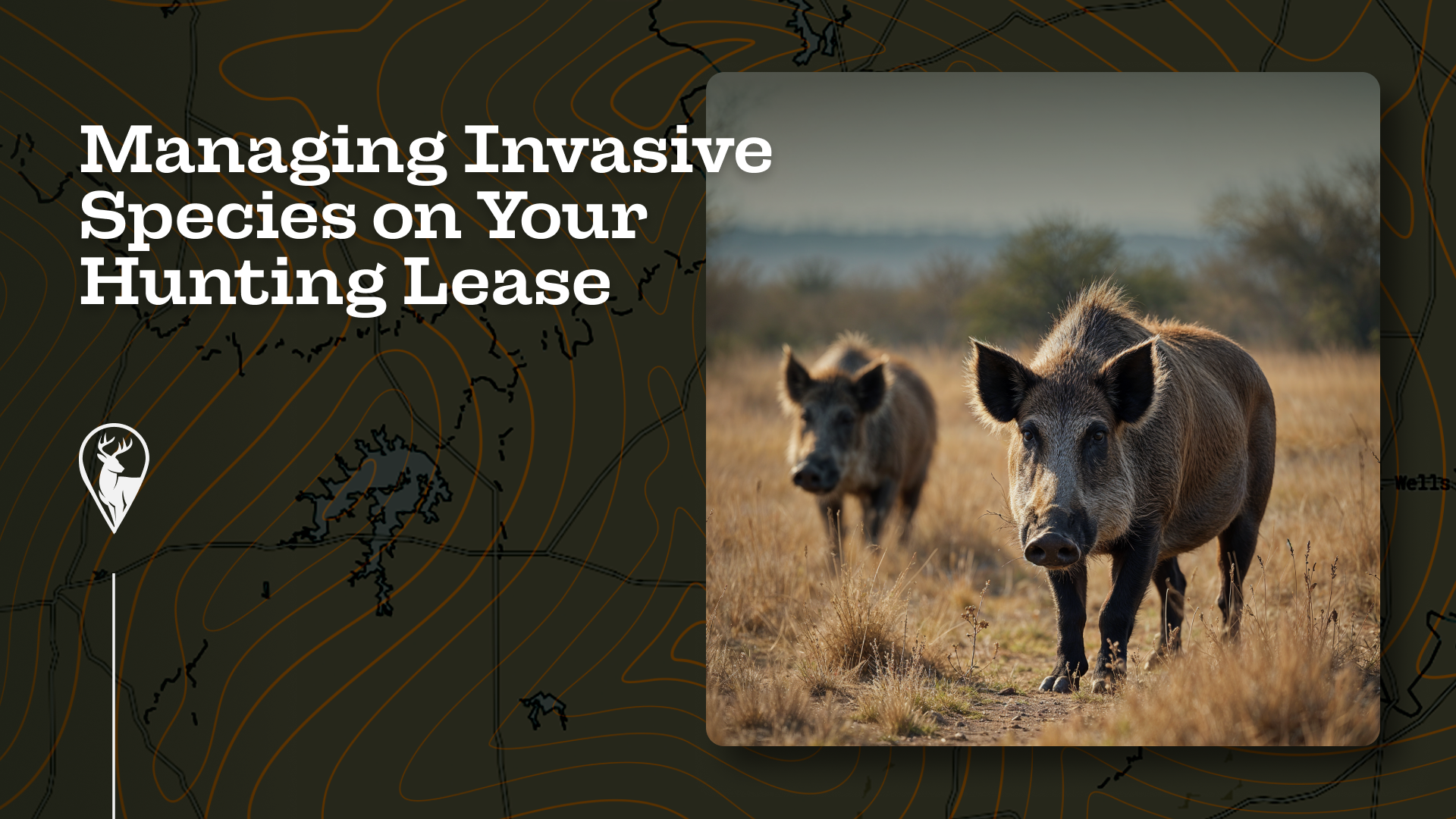 Managing Invasive Species on Your Hunting Lease
