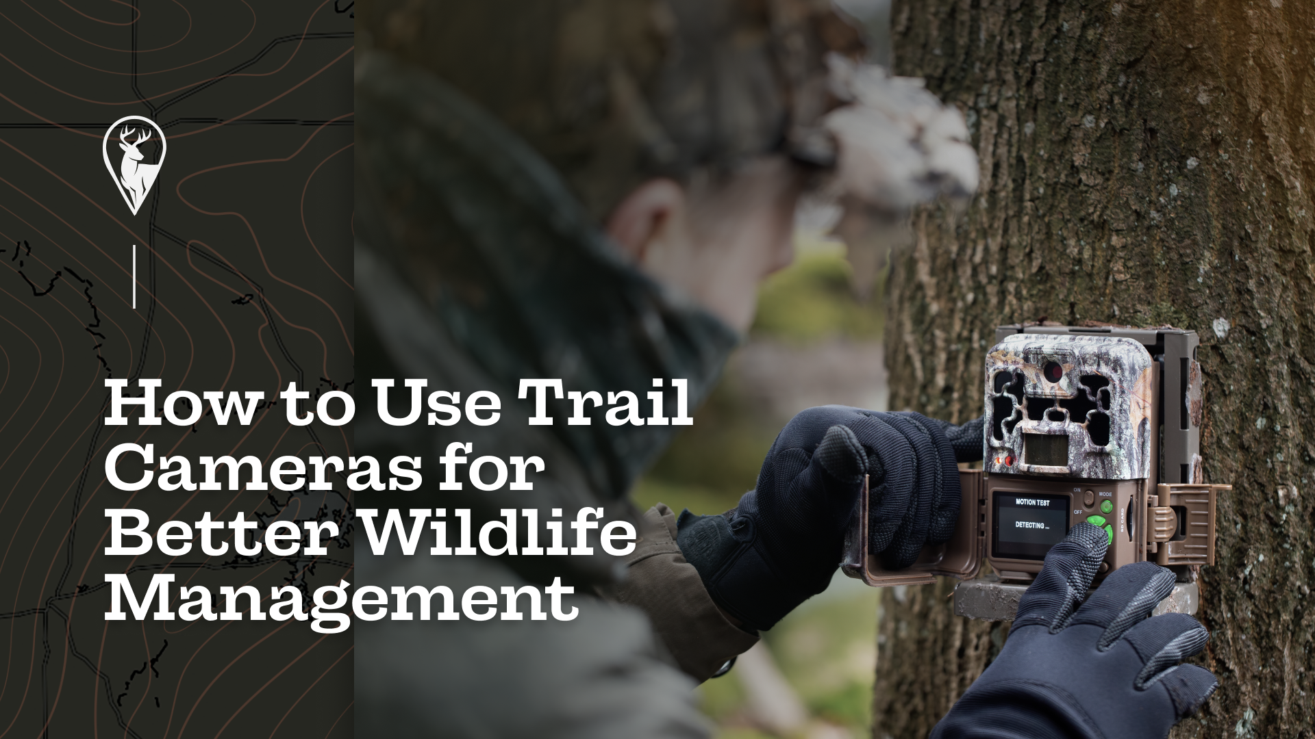 How to Use Trail Cameras for Better Wildlife Management