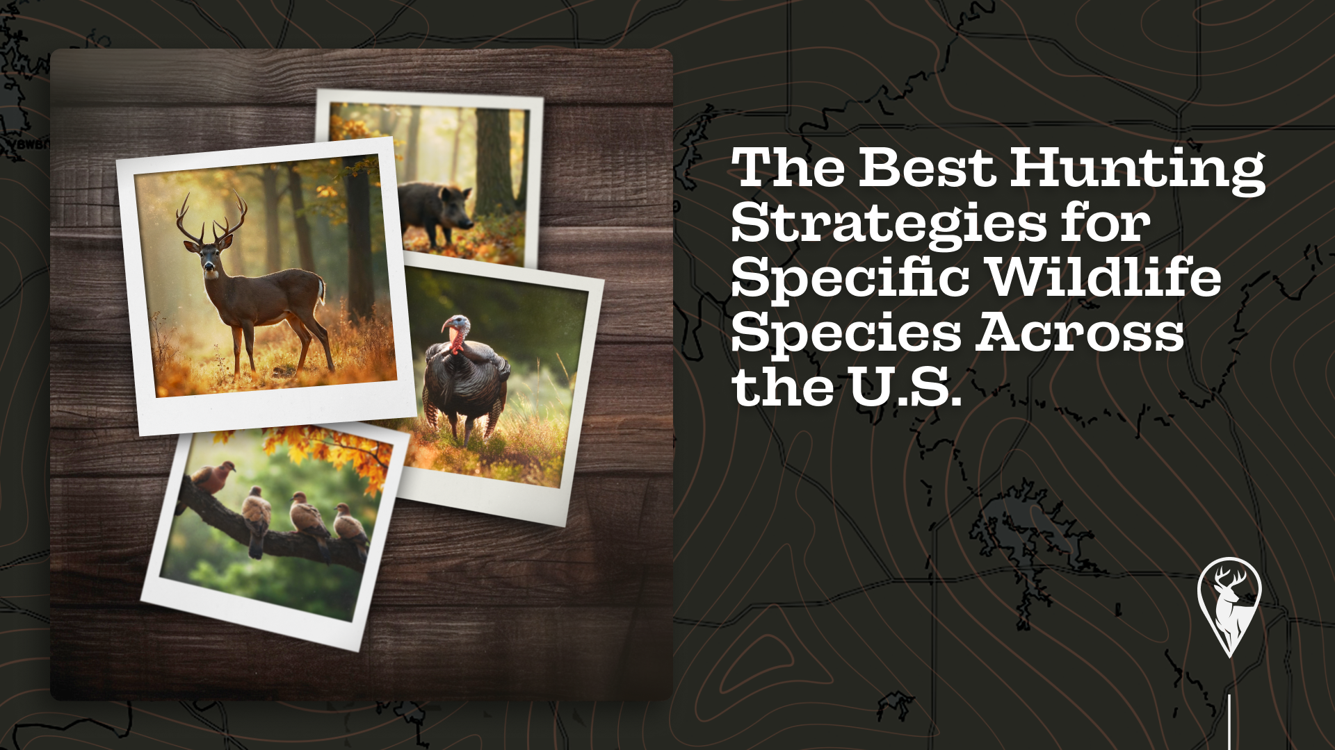The Best Hunting Strategies for Specific Wildlife Species Across the U.S.