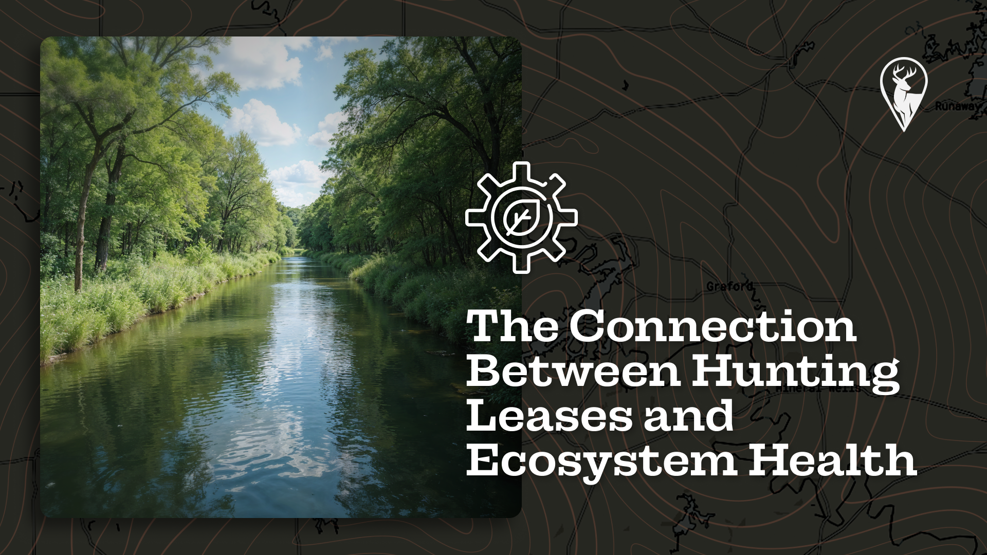 The Connection Between Hunting Leases and Ecosystem Health