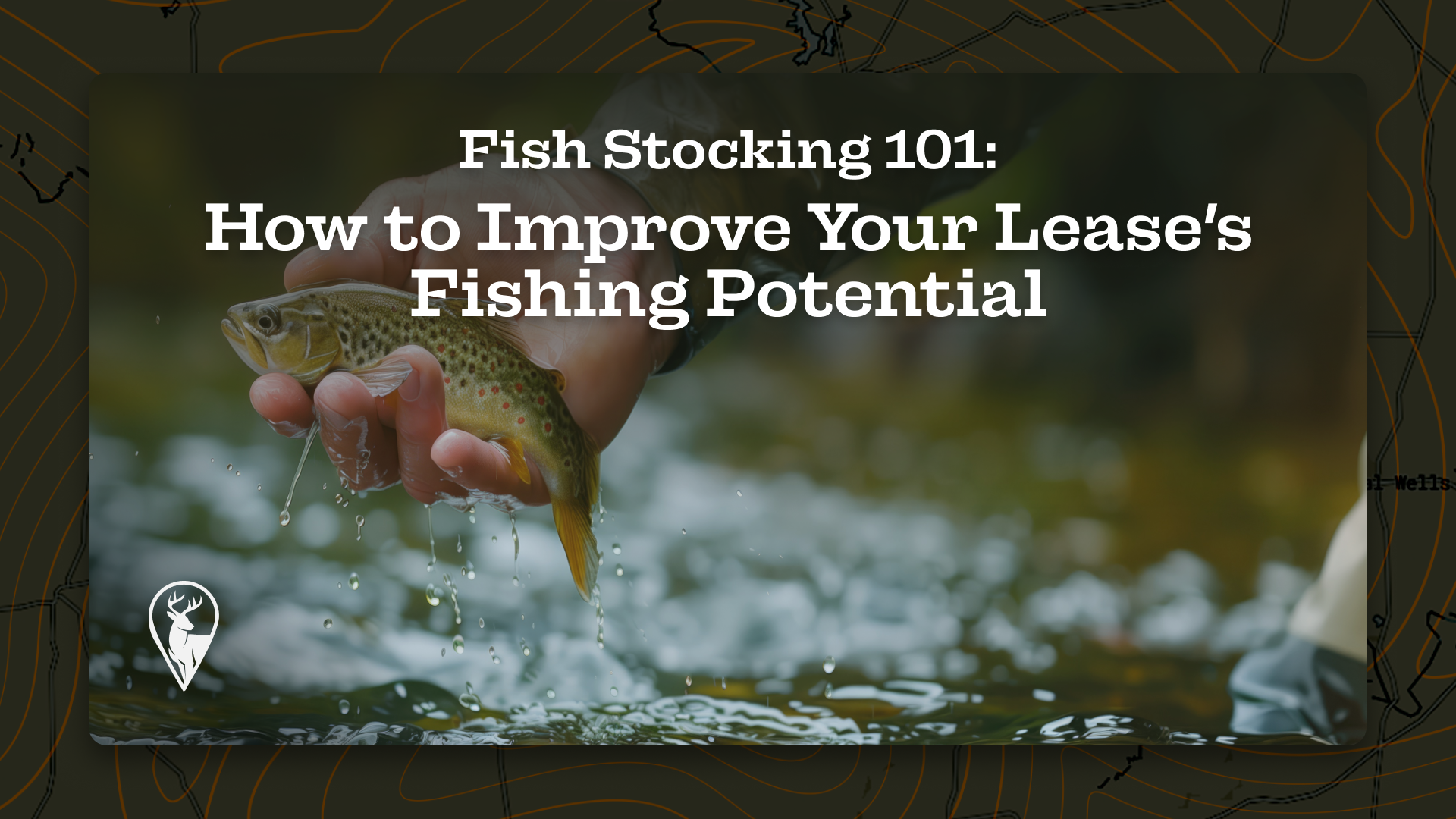 Fish Stocking 101: How to Improve Your Lease’s Fishing Potential