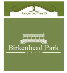 Ranger Led Tree ID at Birkenhead Park