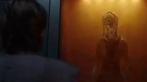 Master Sinube solidified in amber