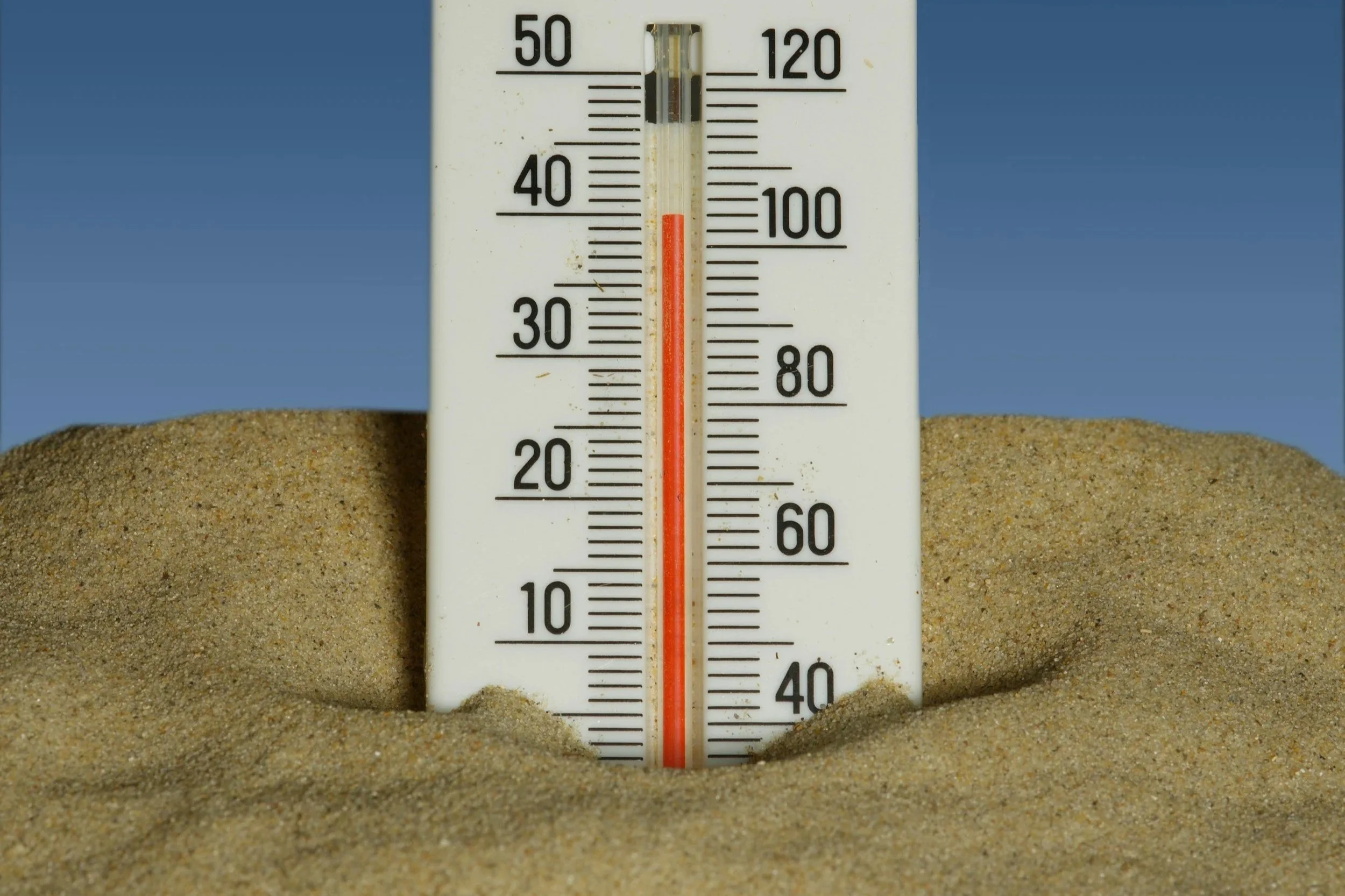 Beat the Heat: Staying Cool in a Heatwave