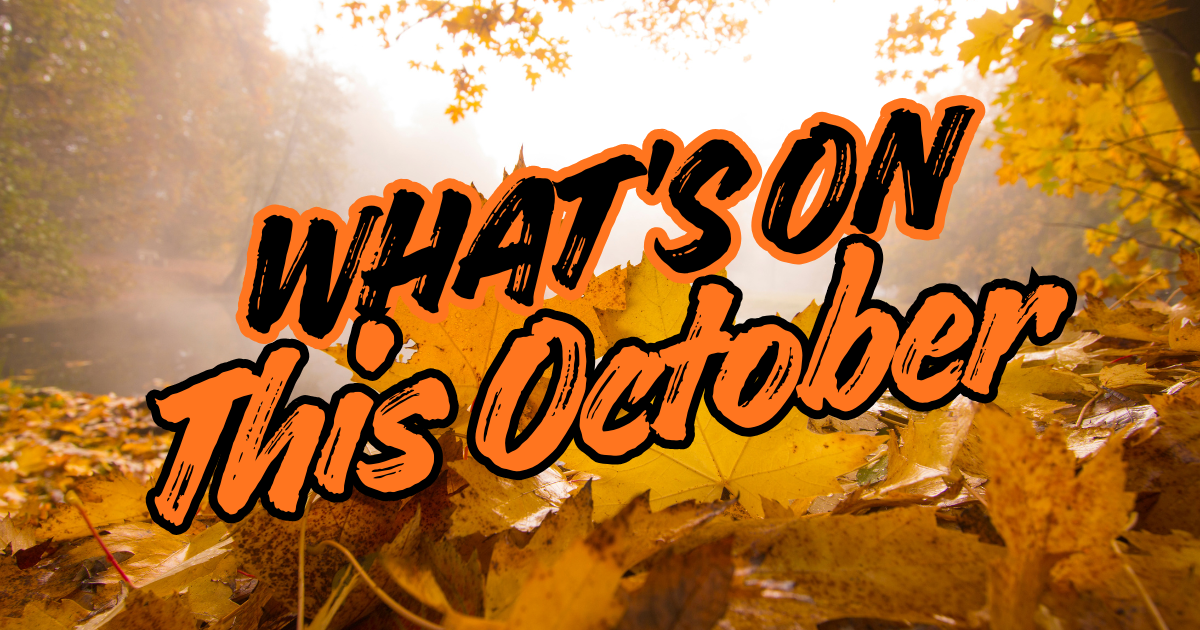 What’s on this October for Wirral care leavers