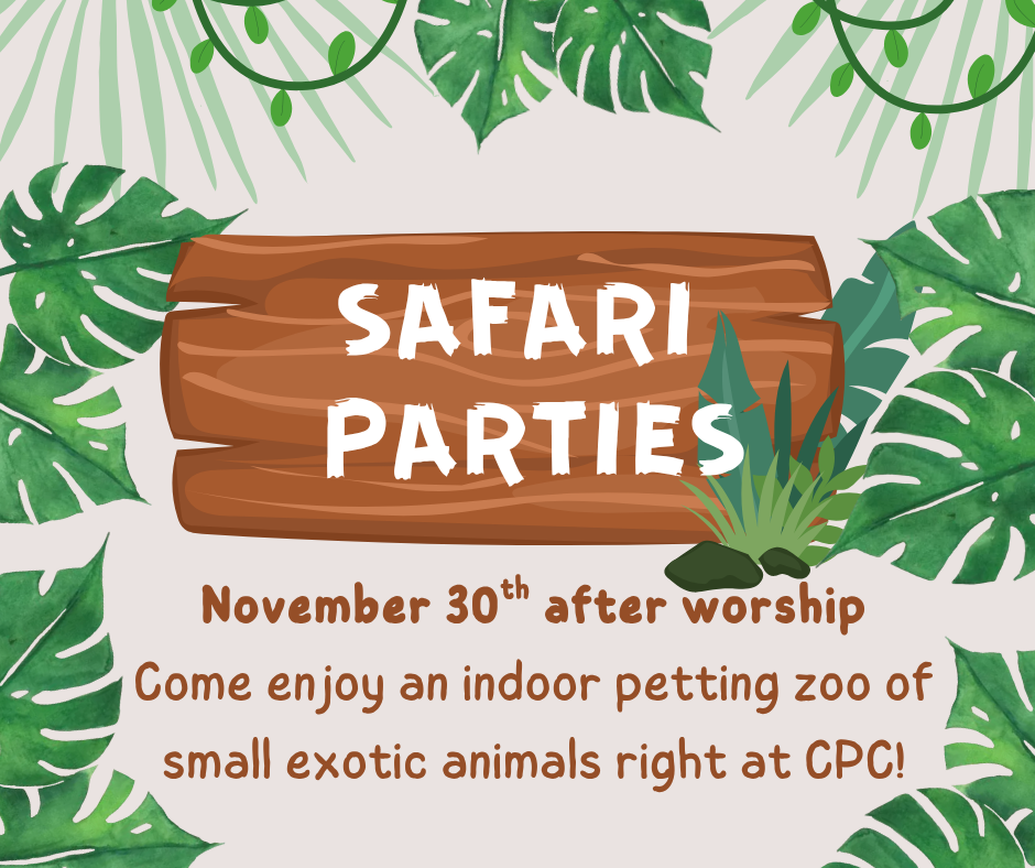 Safari Party