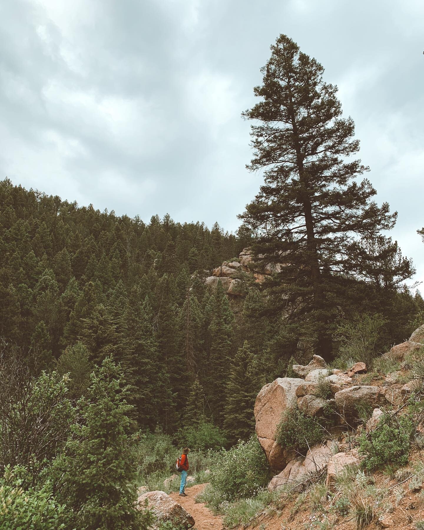 Itching for a scenic walk? There are a ton of incredible hiking trails a short drive away from us just waiting for you to explore!
&bull;
&bull;
&bull;
#hiking #hikingadventures #colorado #coloradoairbnb #mountains #coloradosprings #victorcolorado #s