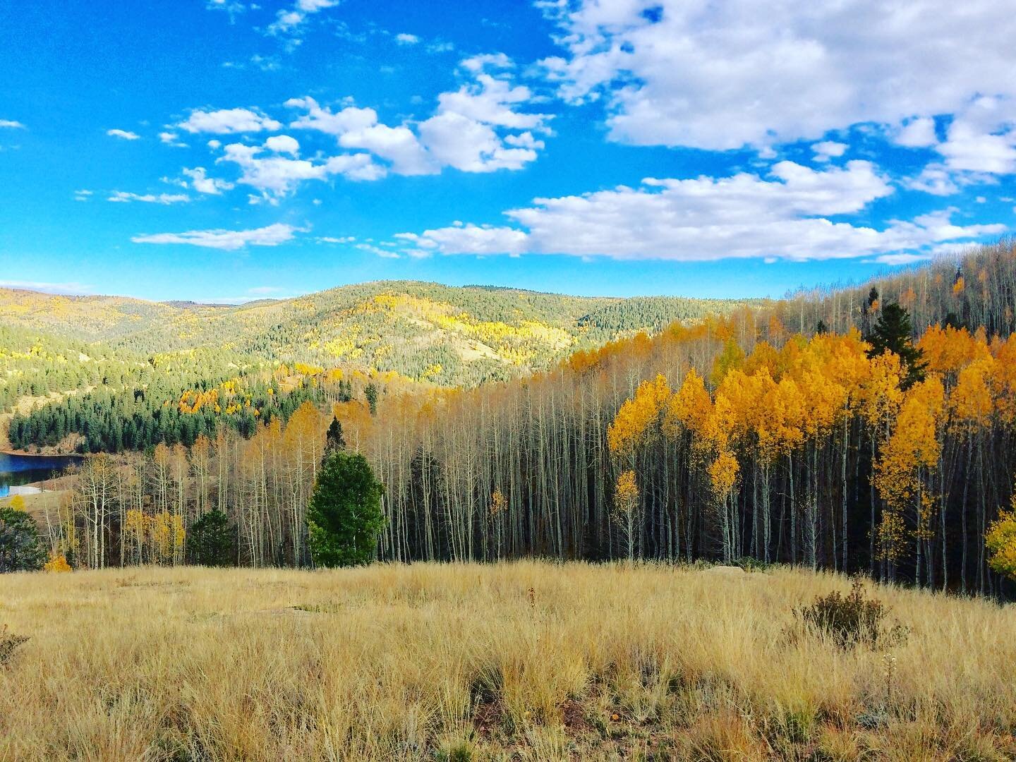 We know it&rsquo;s just the start of summer, but if you like all the beautiful colors in the trees/landscape, now is the time to book Aspen Lakehouse so you can enjoy these views right from the balcony! 
&bull;
&bull;
&bull;
#airbnb #mountains #color