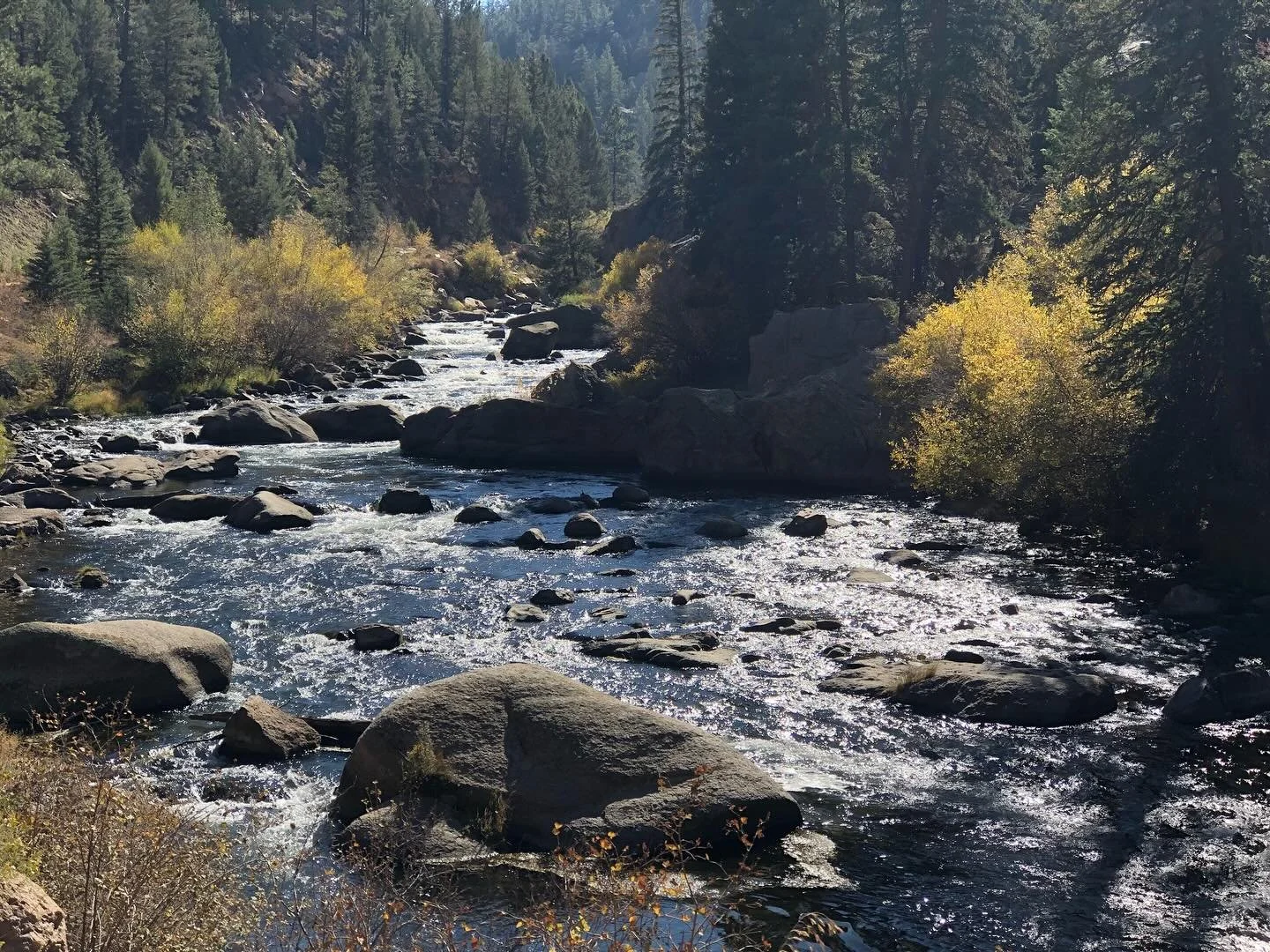 Cute little scenery shots 😍🥹👏🏼 #colorado #mountain #mountainlove #mountainadventures #hiking