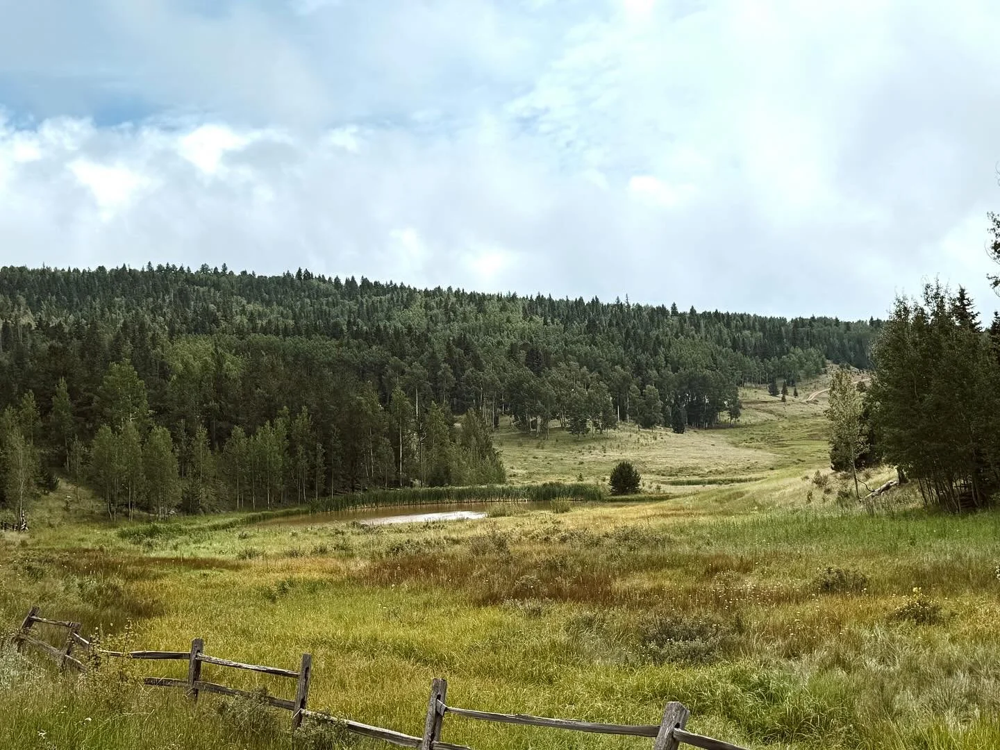 The gravel road in to the houses may be a bit rough at times, but then you get beautiful views like this. 😍 #countyroads #colorado #mountains