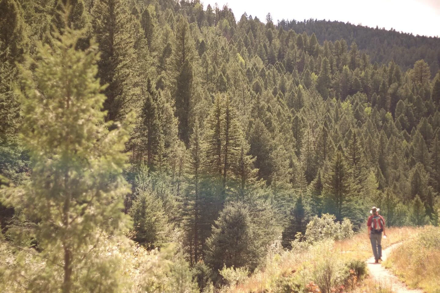 That in-between season where the air bites a little sharper and the world starts to quiet. 😍❤️ #victor #colorado #winteriscoming #hiking #mountains