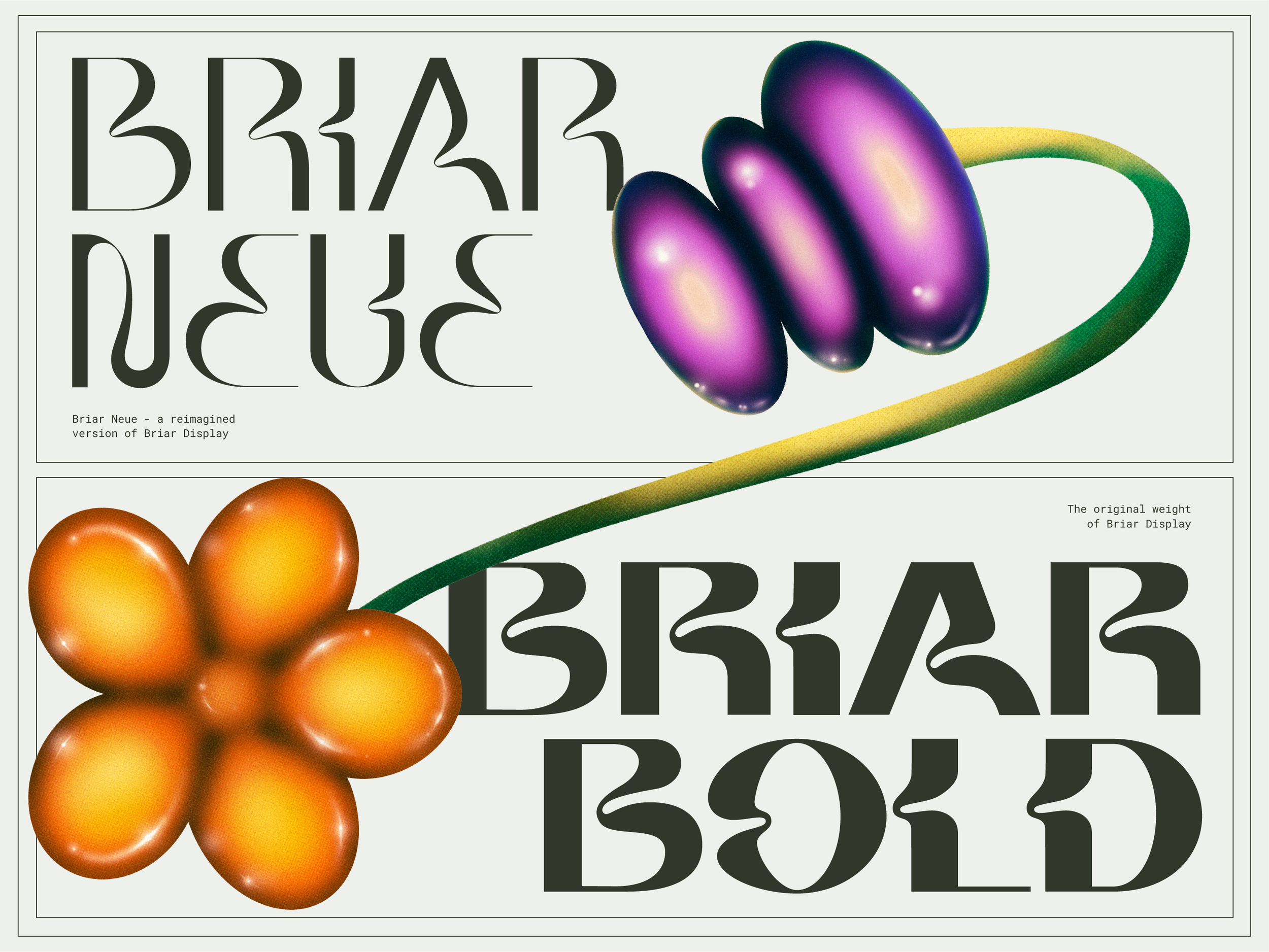 Briar Neue Behance Project-04.png