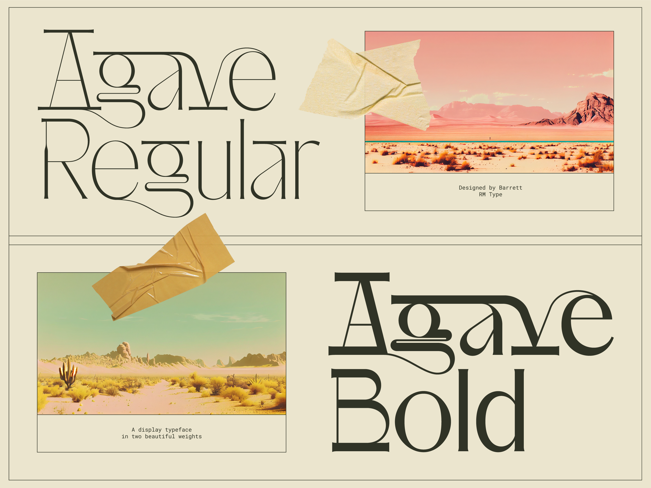 Agave behance project-02.png