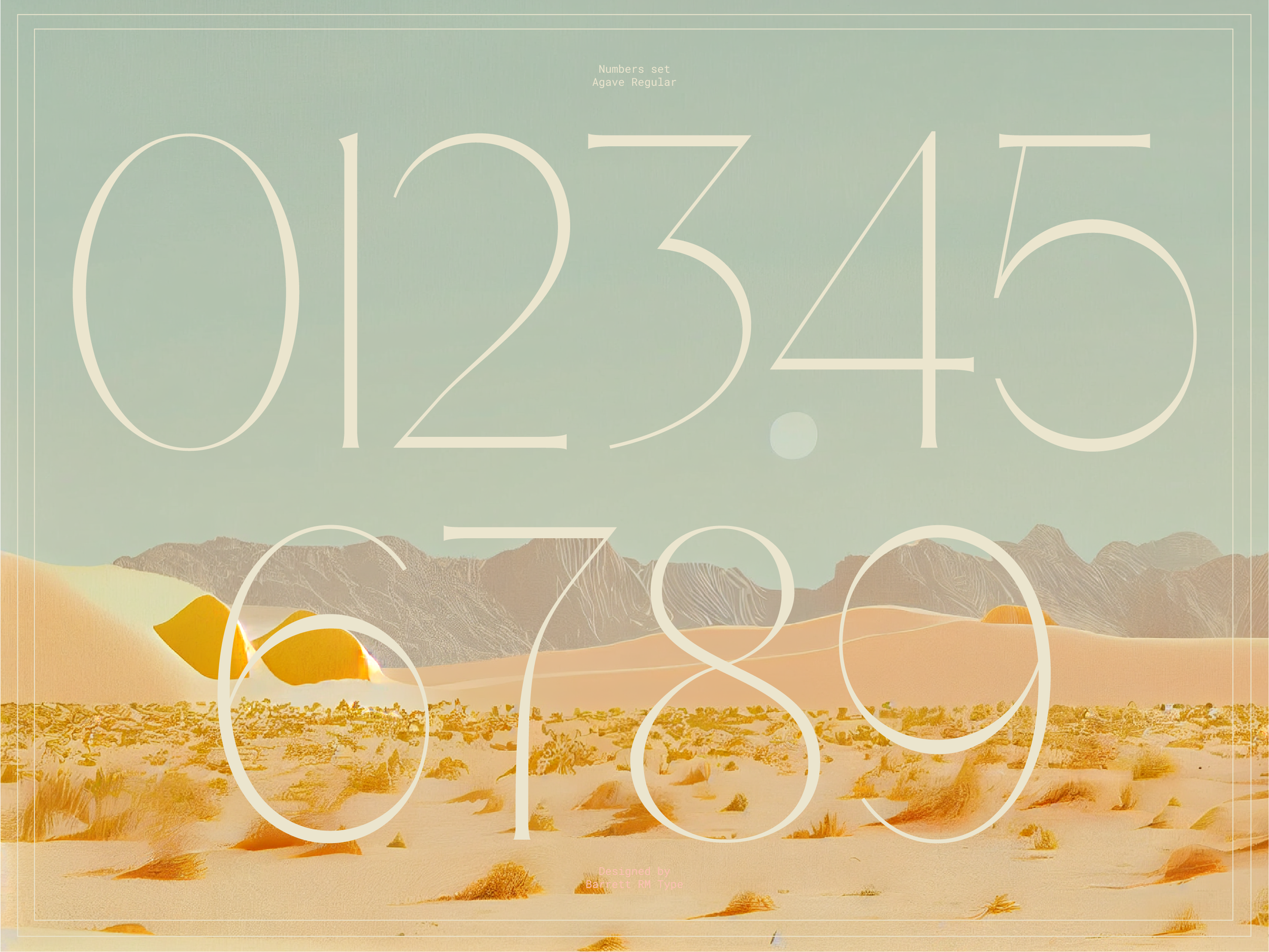 Agave behance project-08.png