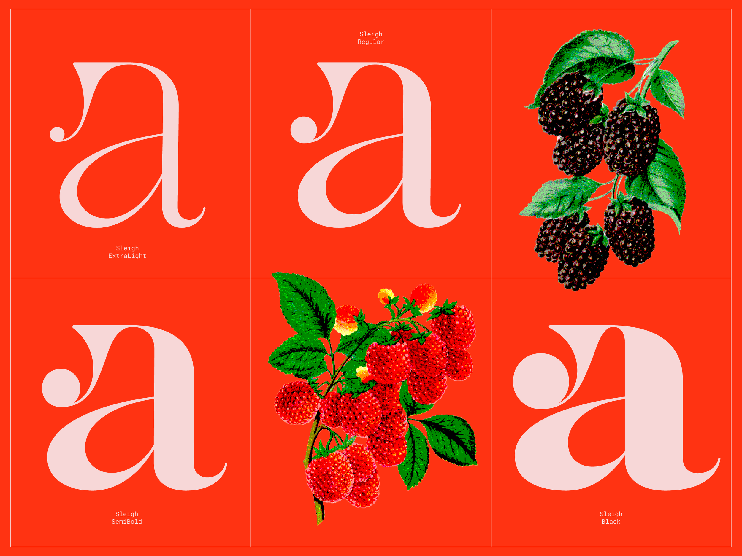 sleigh variable-08.png