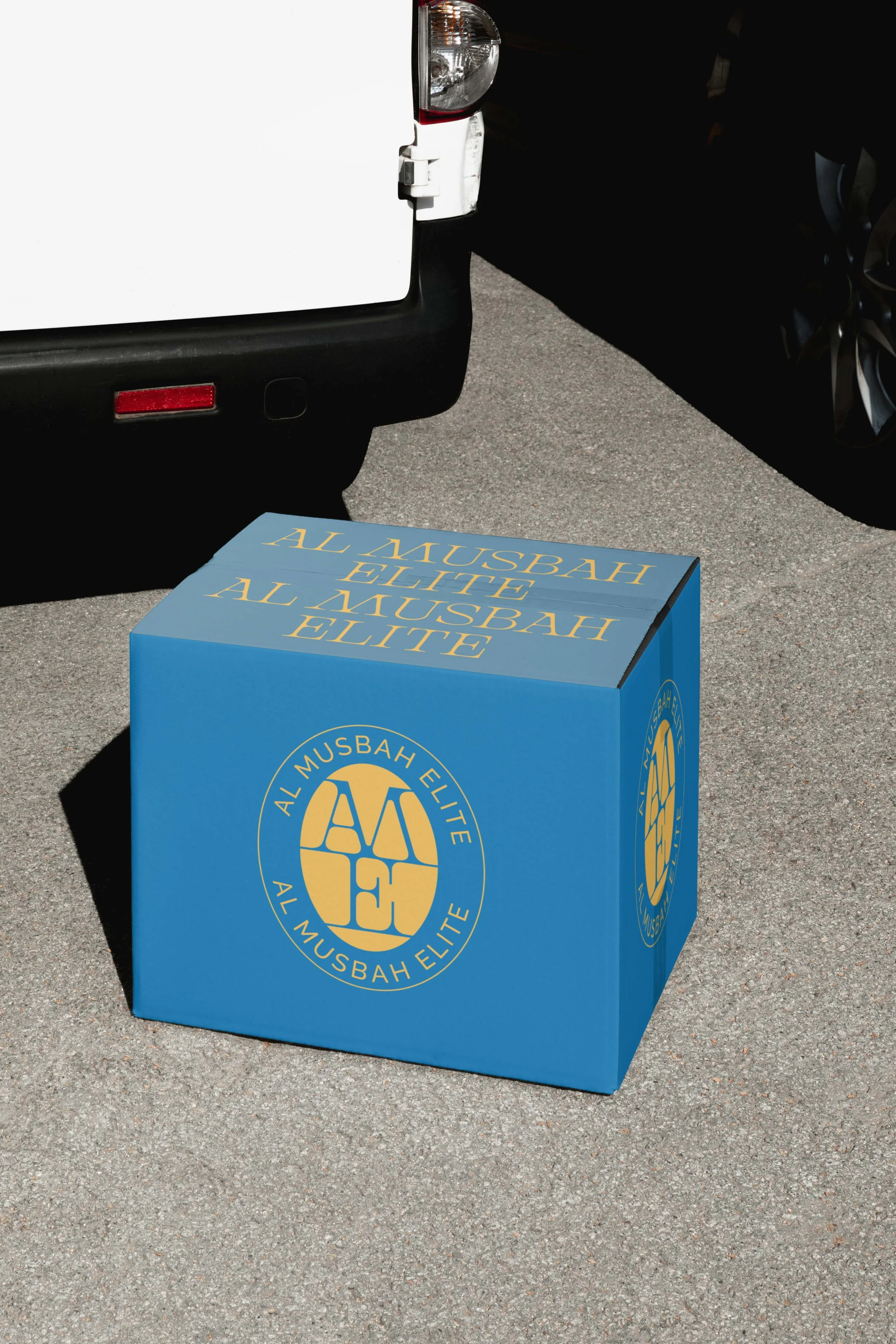 ame_shipping box mockup.jpg