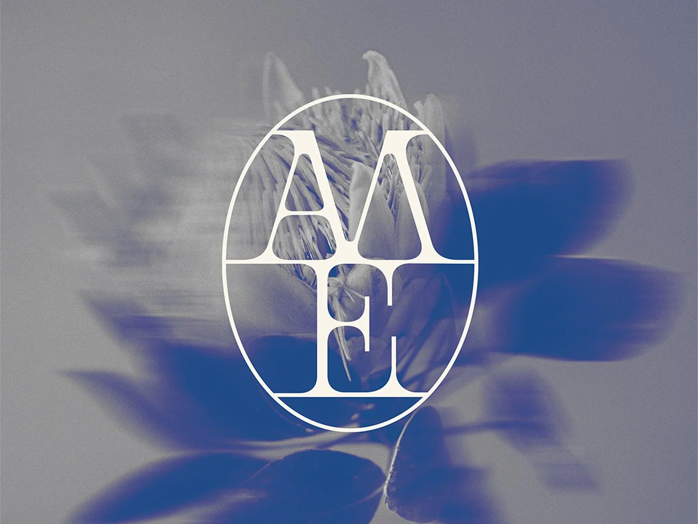 Al Musbah Elite - Brand Identity