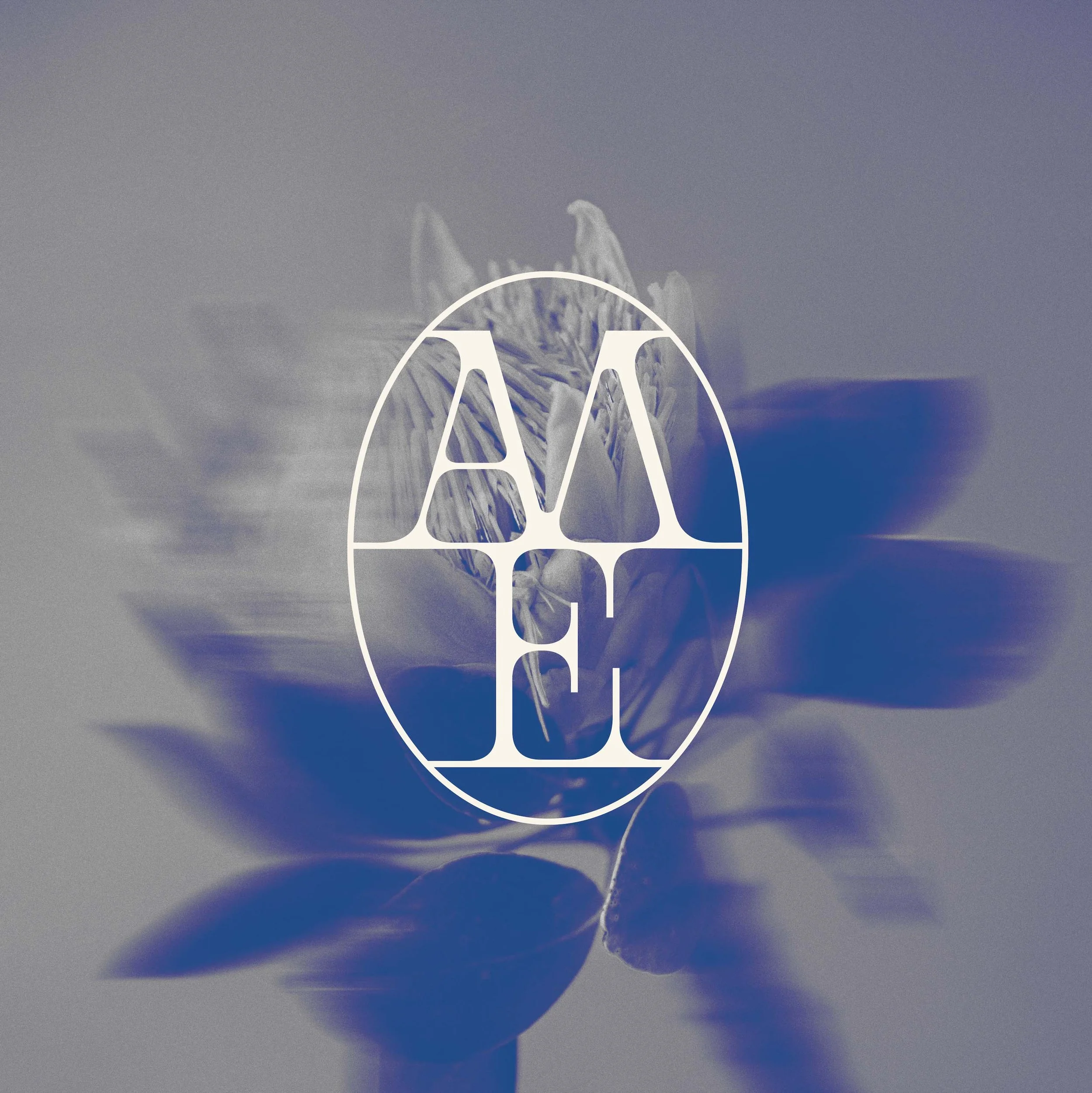 Screenshot 2026-02-24 at 2.56.jpg