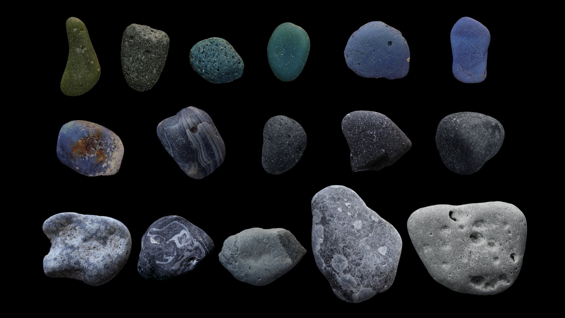A collection of Leland Blues under visible light, Photo Credit: Cody Wiedenbein
