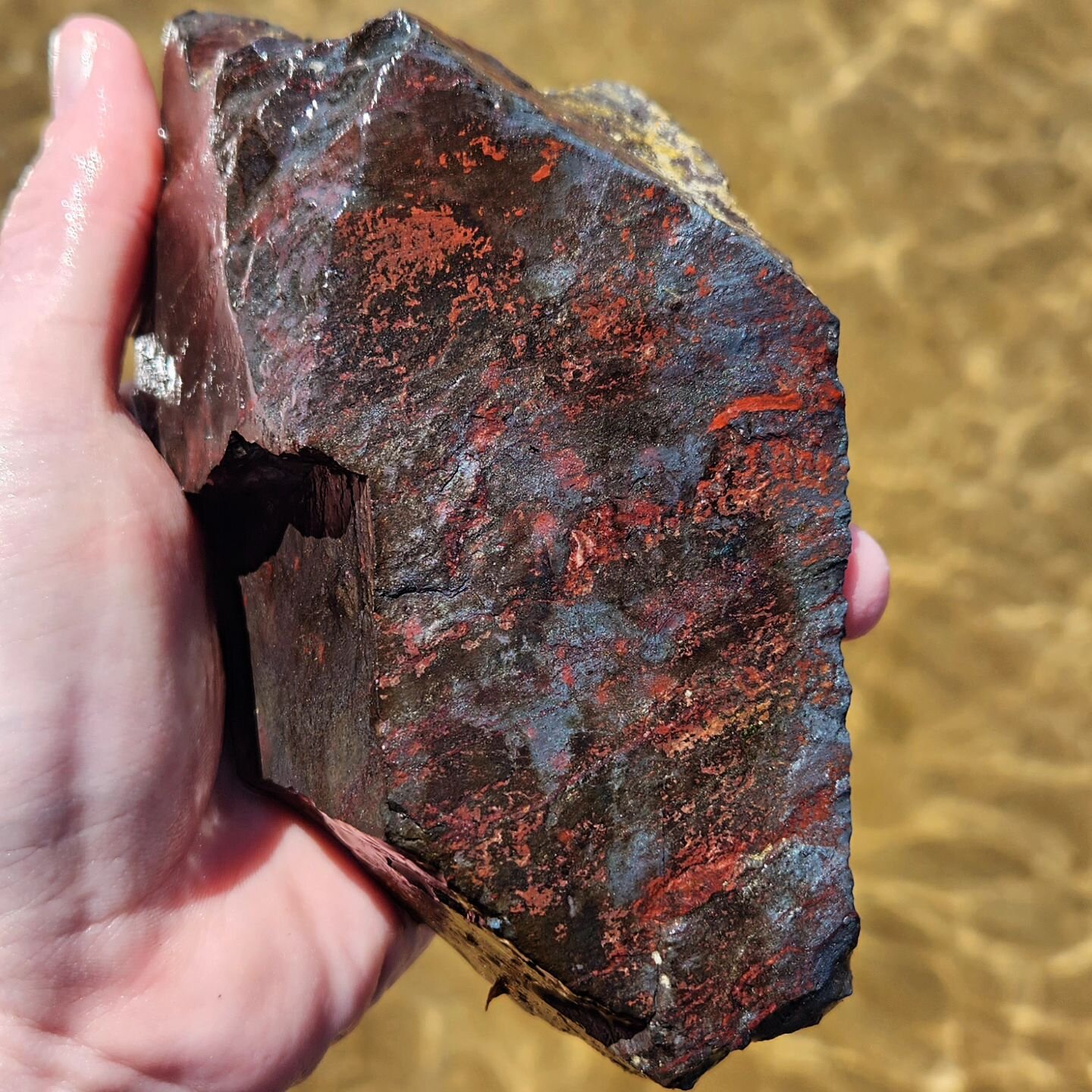 Greetings everyone! It's been quite some time since our last post here&mdash; much has happened but we're glad to finally be back! Enjoy this chunk of BiF we found at Tawas Point 😊