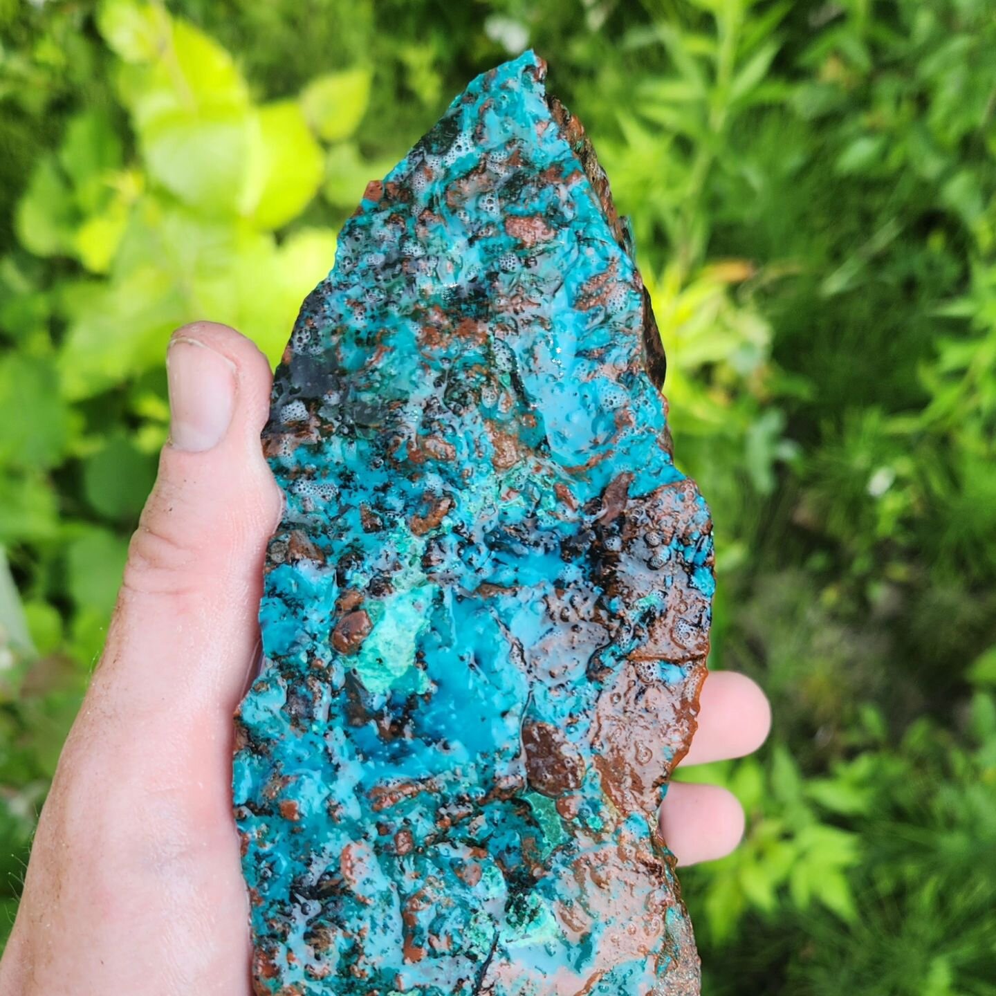 Check out the natural sheen on this chunk of chrysocolla from the Keweenaw Peninsula! Mined for its copper content during the 1800s, chryscolla was a much sought after ore that has become nearly impossible to come across now due to the recent disappe