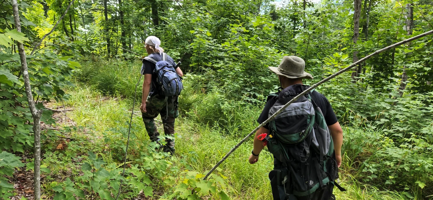 The Stunning Quartz Crystals of Goose Lake