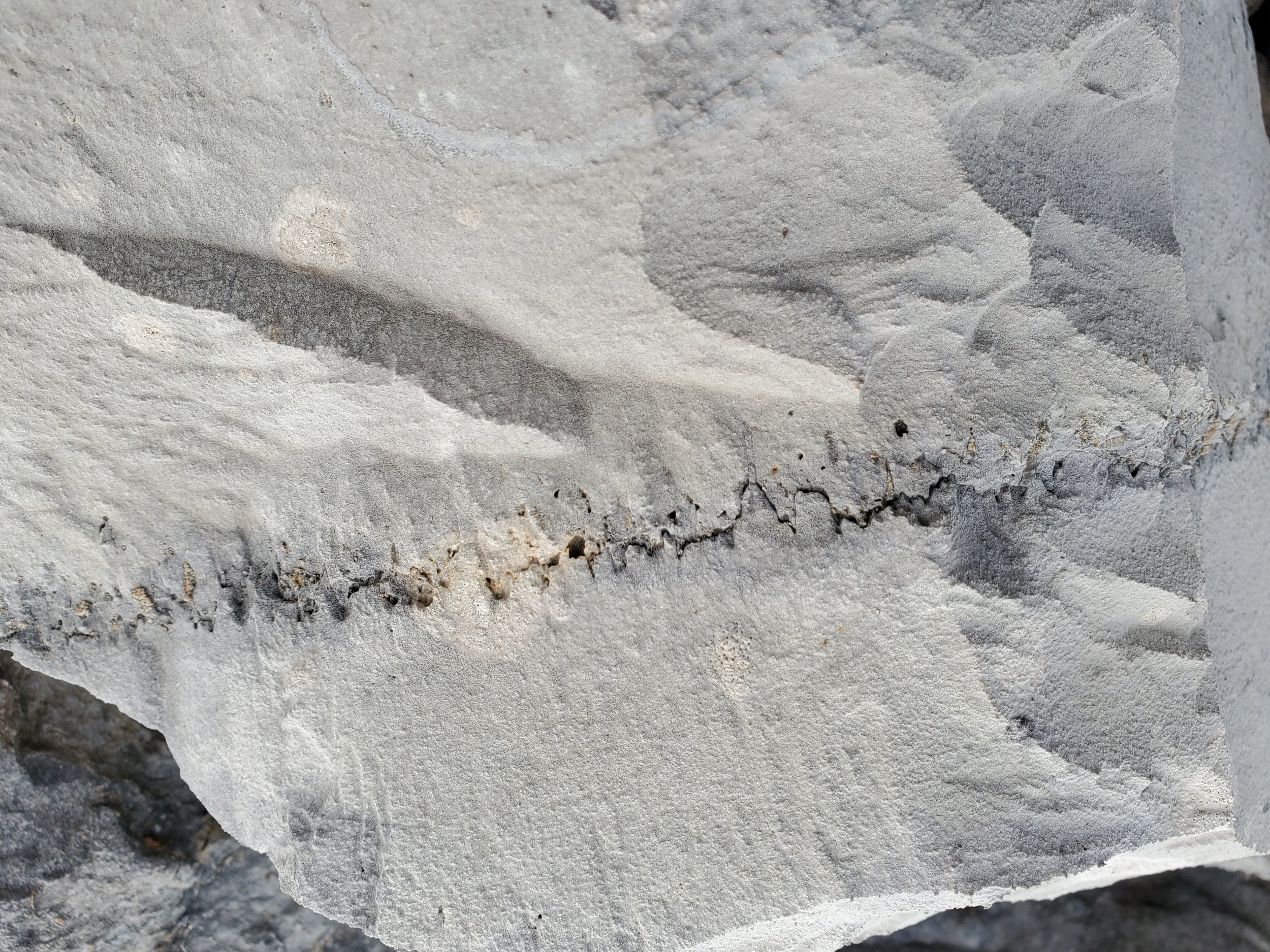 Shark tooth or sawtooth patterning in a stylolite forming on a limestone boulder found at Rockport Quarry, Alpena. Width of formationg approximately 1 foot.