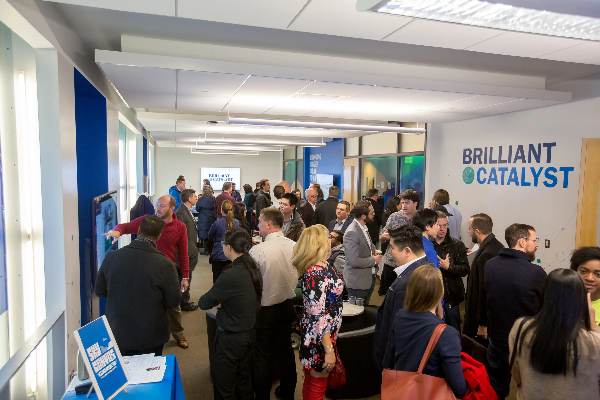 PROGRAMS — Brilliant Catalyst
