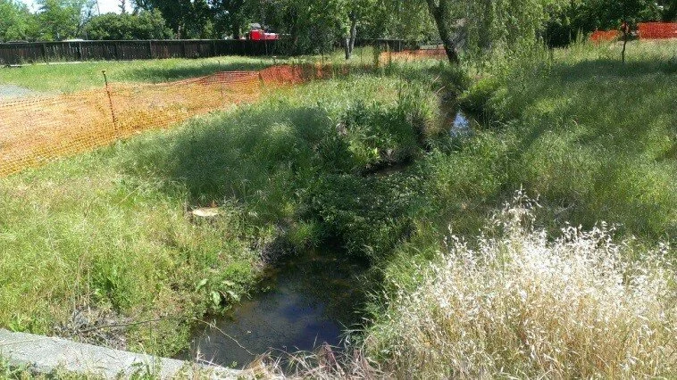 FREE Erosion Control - it's everywhere — Tully Consulting Group