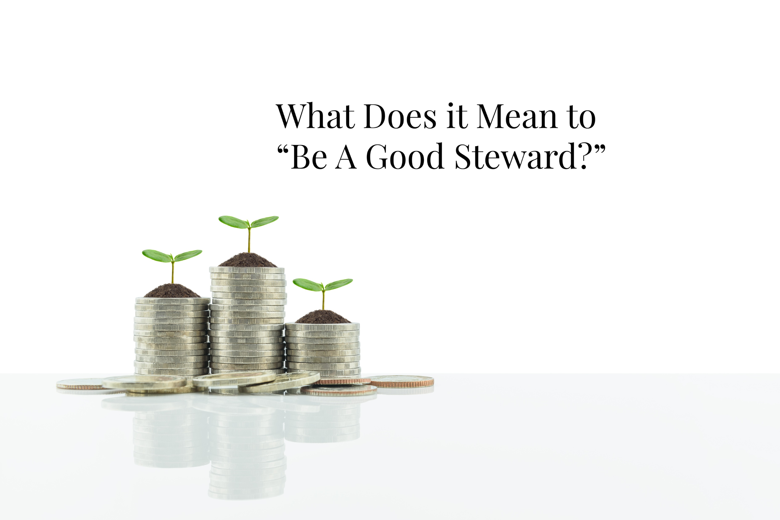 What Does it Mean to “Be a Good Steward?” 