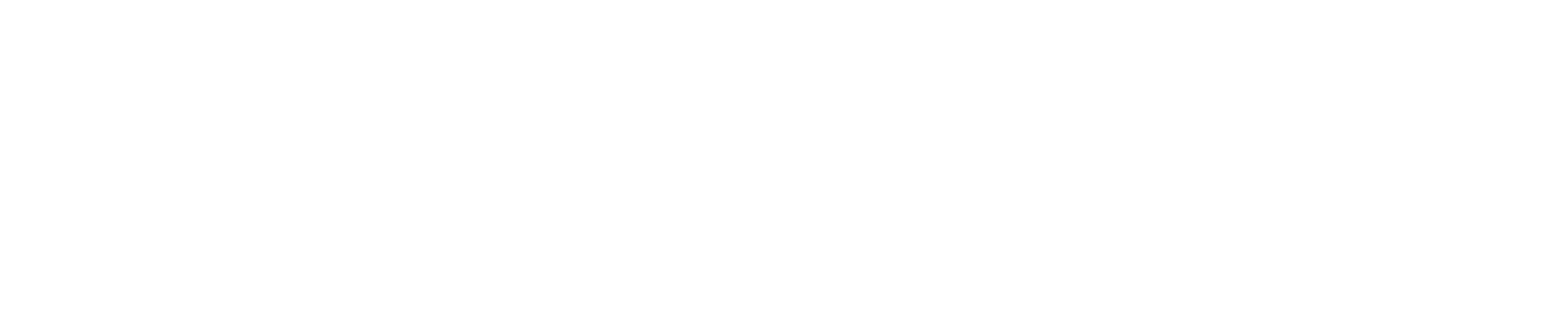 ICC Logo_Horizontal_WHT Outlines.png