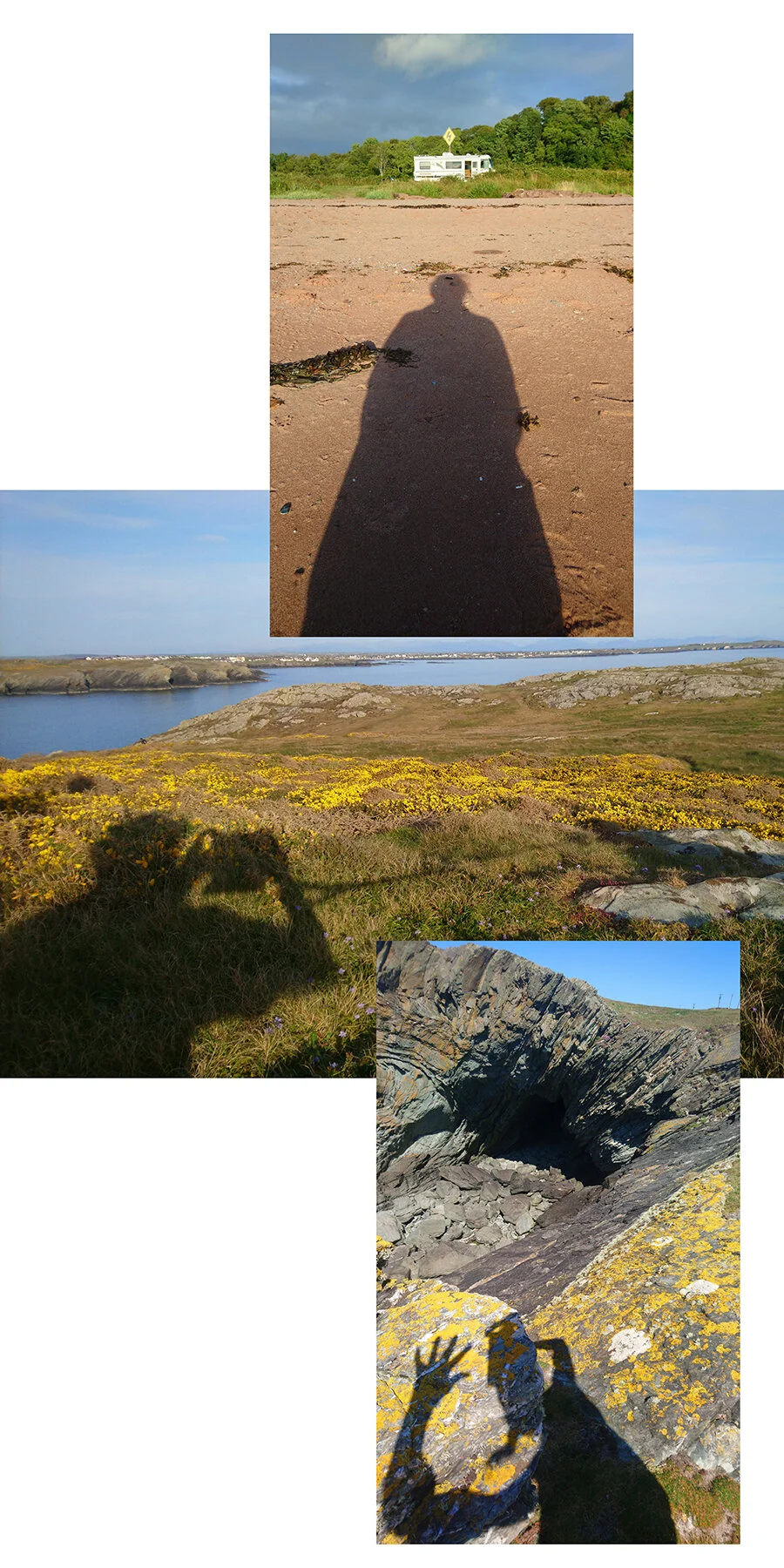 times three landscapes.jpg