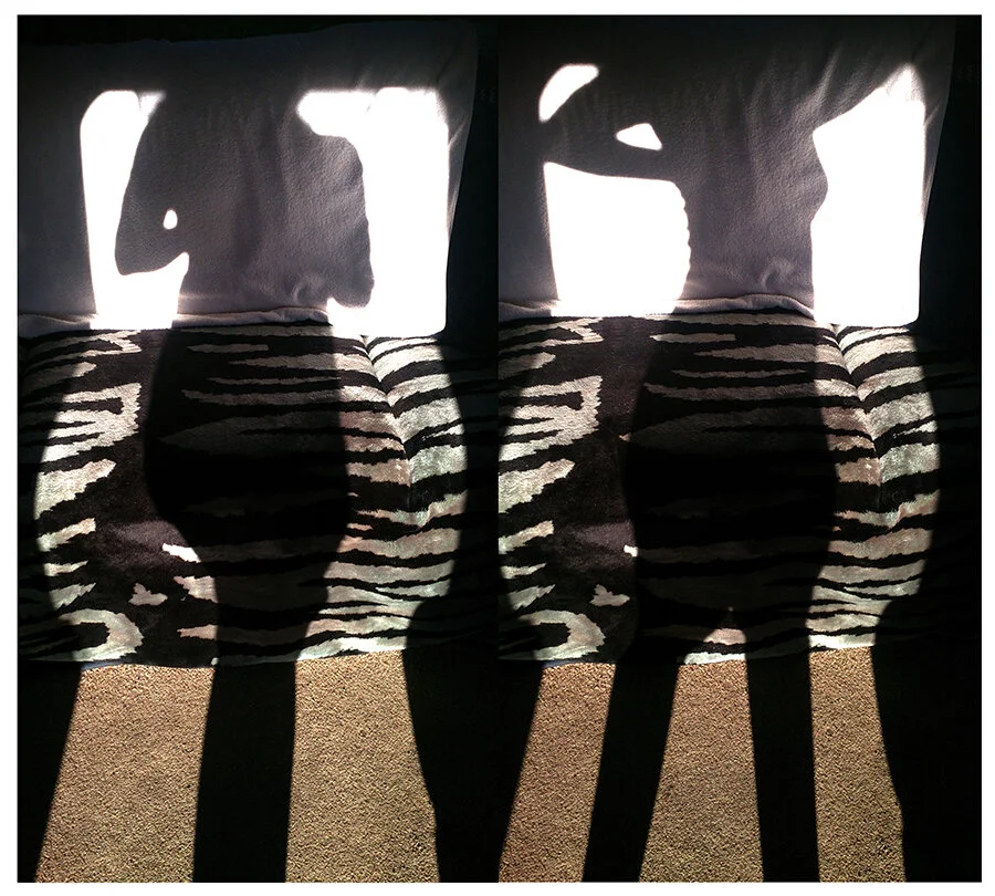 times two shadow me.jpg