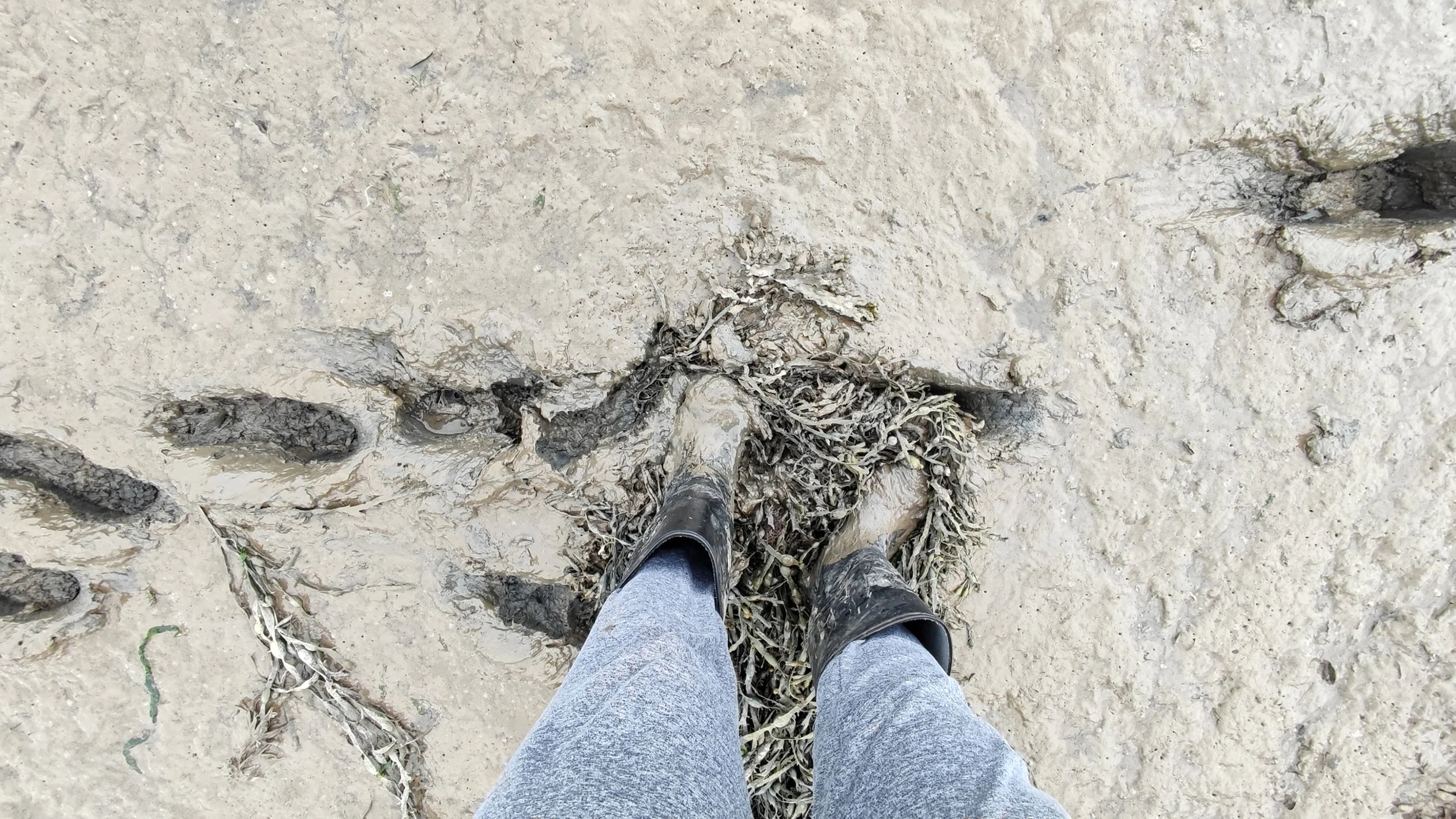 my feet down (54).jpg