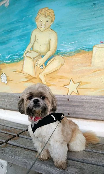 2.bella.JPG