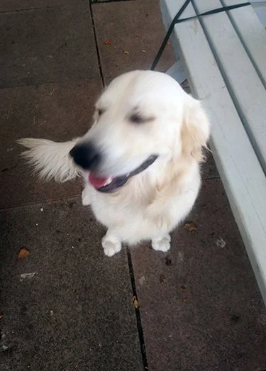 1.cooper.jpg