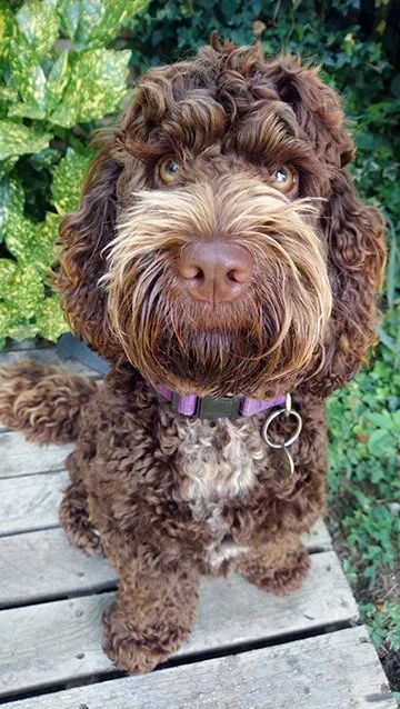 6.lexi.jpg