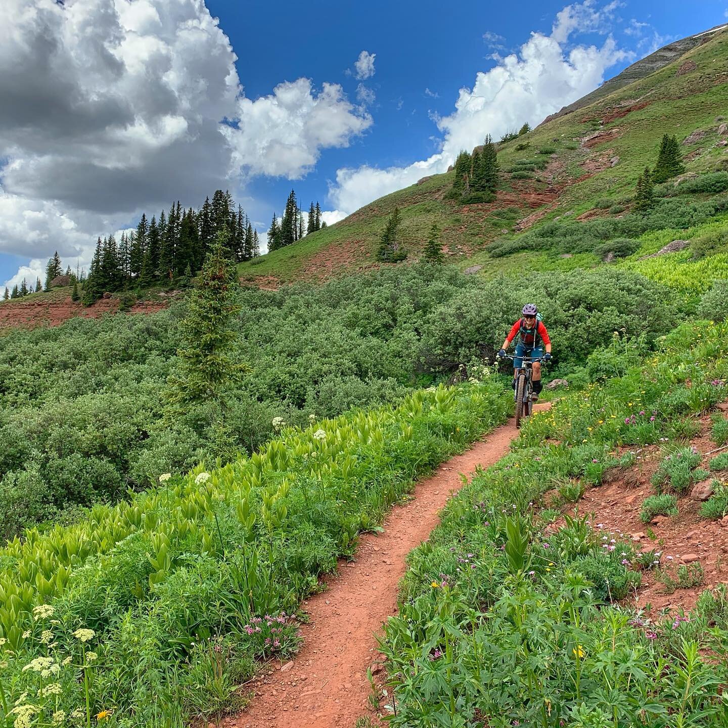 Who else LOVES to ride?! Let&rsquo;s keep the momentum going! Baker&rsquo;s Park will benefit Silverton and the surrounding region.

The goal of Baker&rsquo;s Park is to develop a progressive trail network of shared-use and bike-optimized trails that