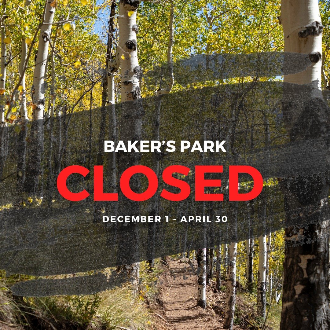 Silverton Singletrack Society would like to remind the community that the Baker's Park Trail System is subject to seasonal closures imposed by the Bureau of Land Management and Colorado Parks and Wildlife. These closures are in place to protect wildl