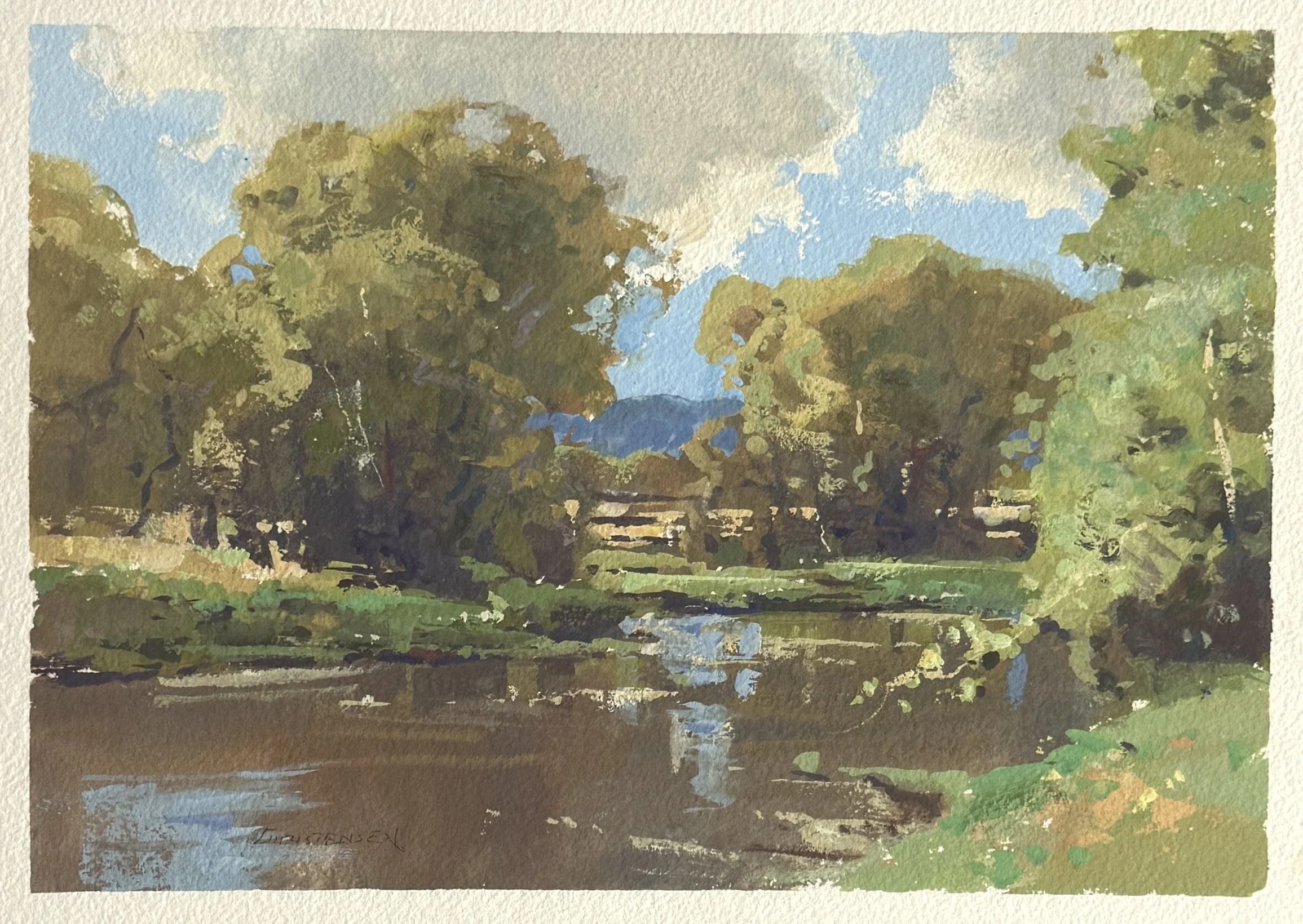 #18 john's pond unframed.jpeg